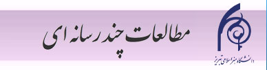 مطالعات چند رسانه ای